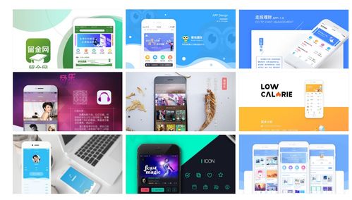 系统开发 品牌策划 商业模式设计 互联网运营