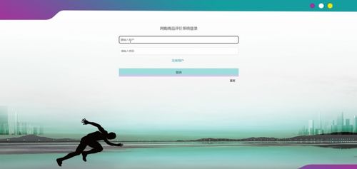 基于Spring Boot的网购商品评价管理系统设计与实现